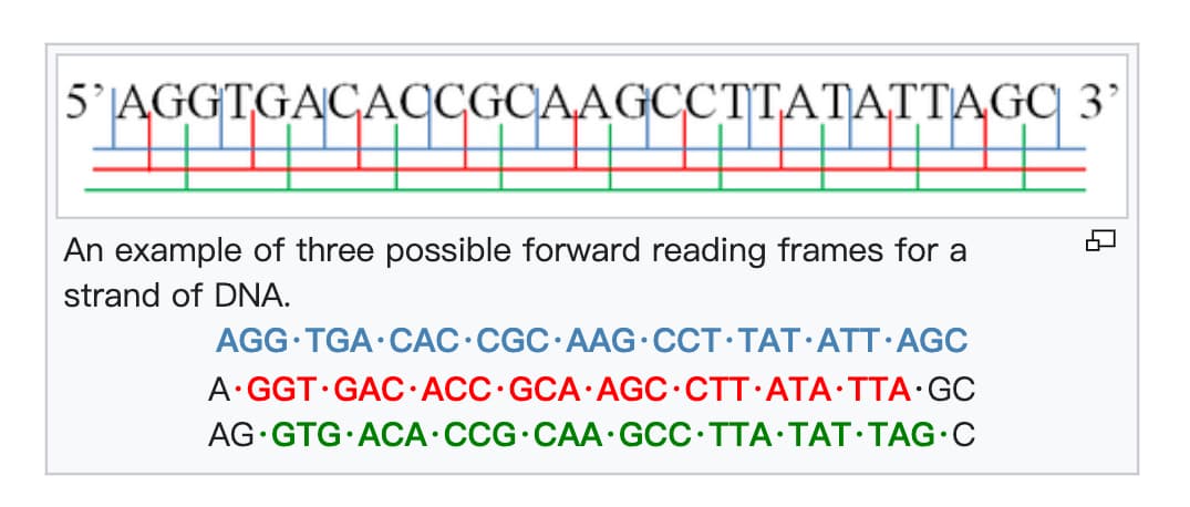 ORF Finder illustration